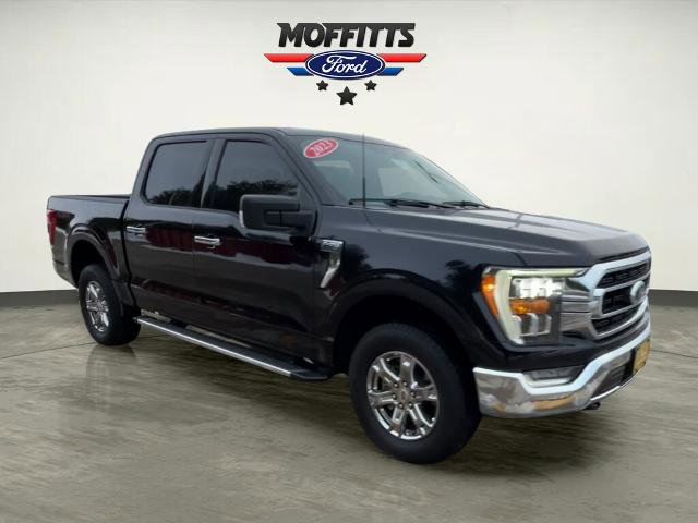 Certified 2023 Ford F150 XLT w/ Equipment Group 302A High image 7