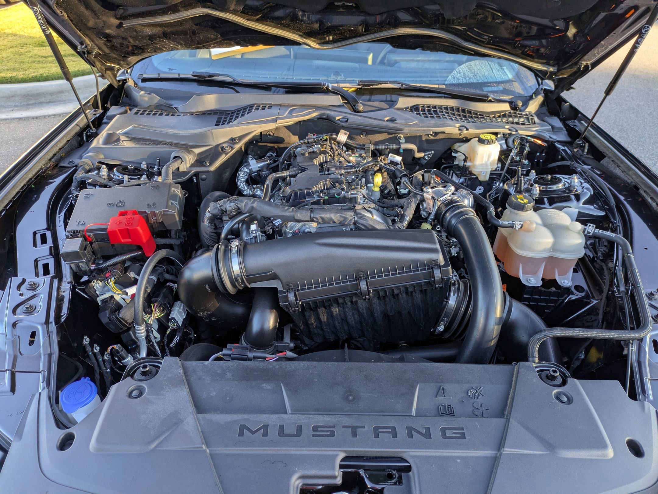 Certified 2024 Ford Mustang Coupe image 34