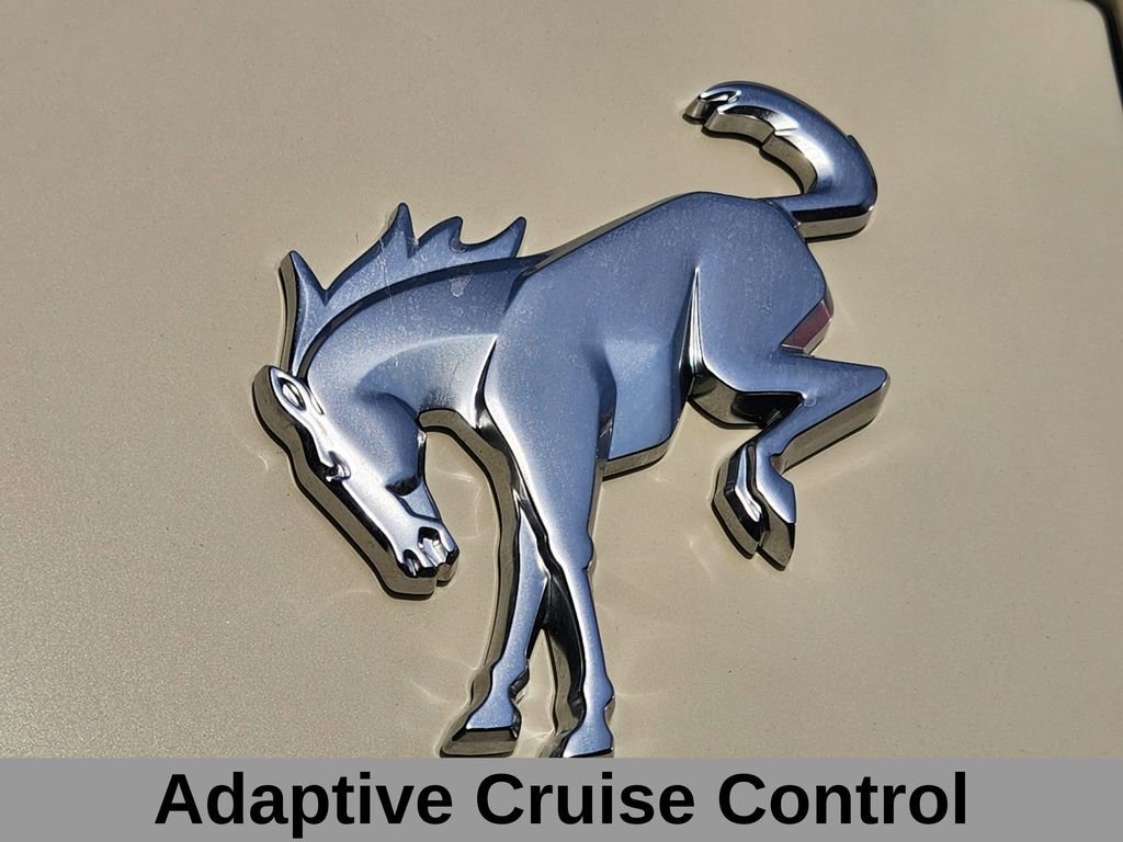 Certified 2025 Ford Bronco Badlands w/ Matte Film Protection Package image 18