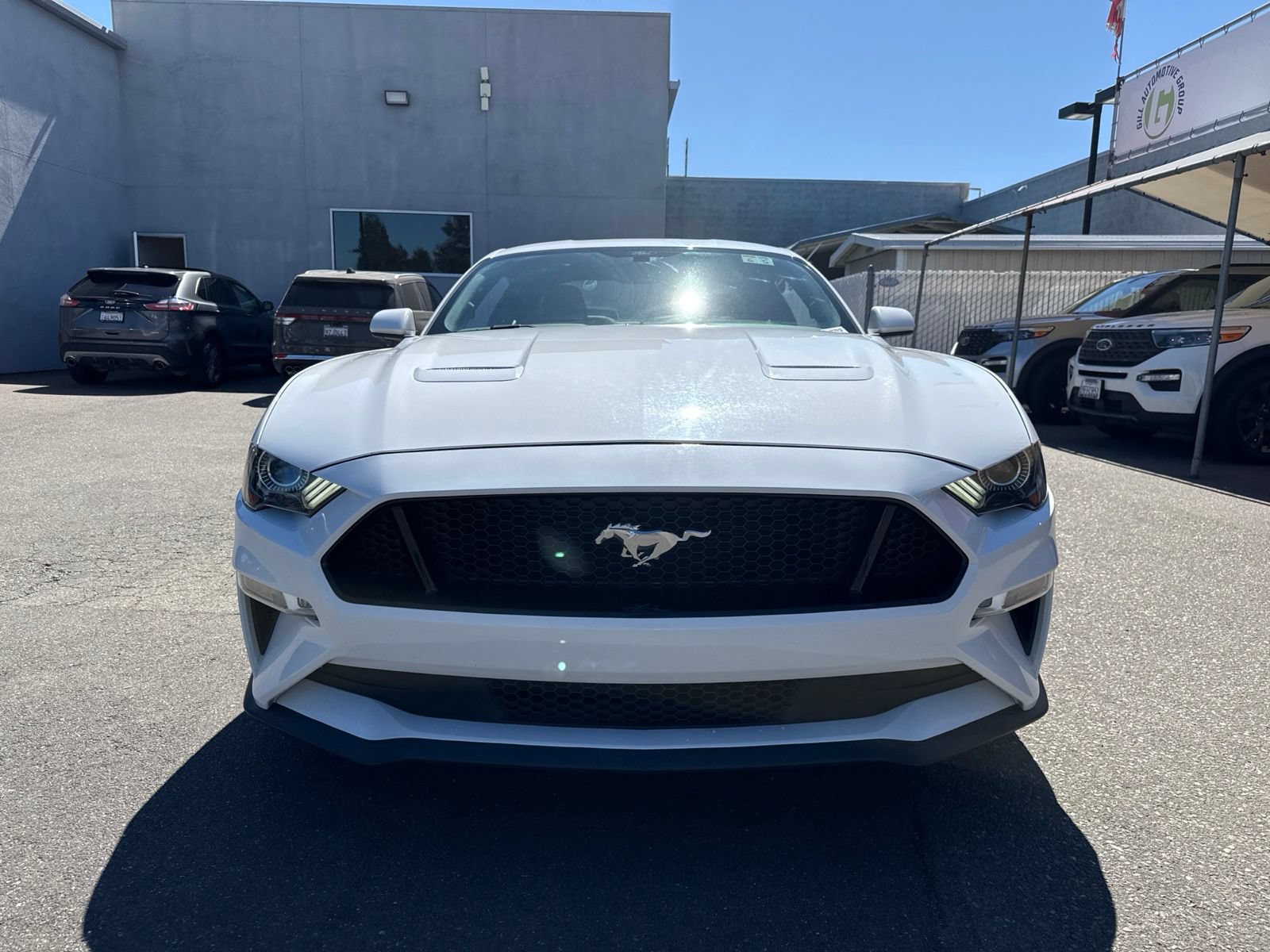 Certified 2019 Ford Mustang GT w/ Equipment Group 301A RWD image 8