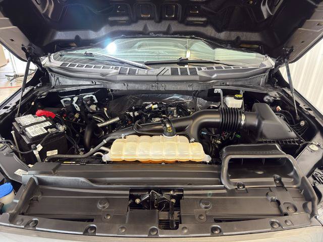 Certified 2023 Ford F150 XL w/ STX Appearance Package AWD/4WD image 6