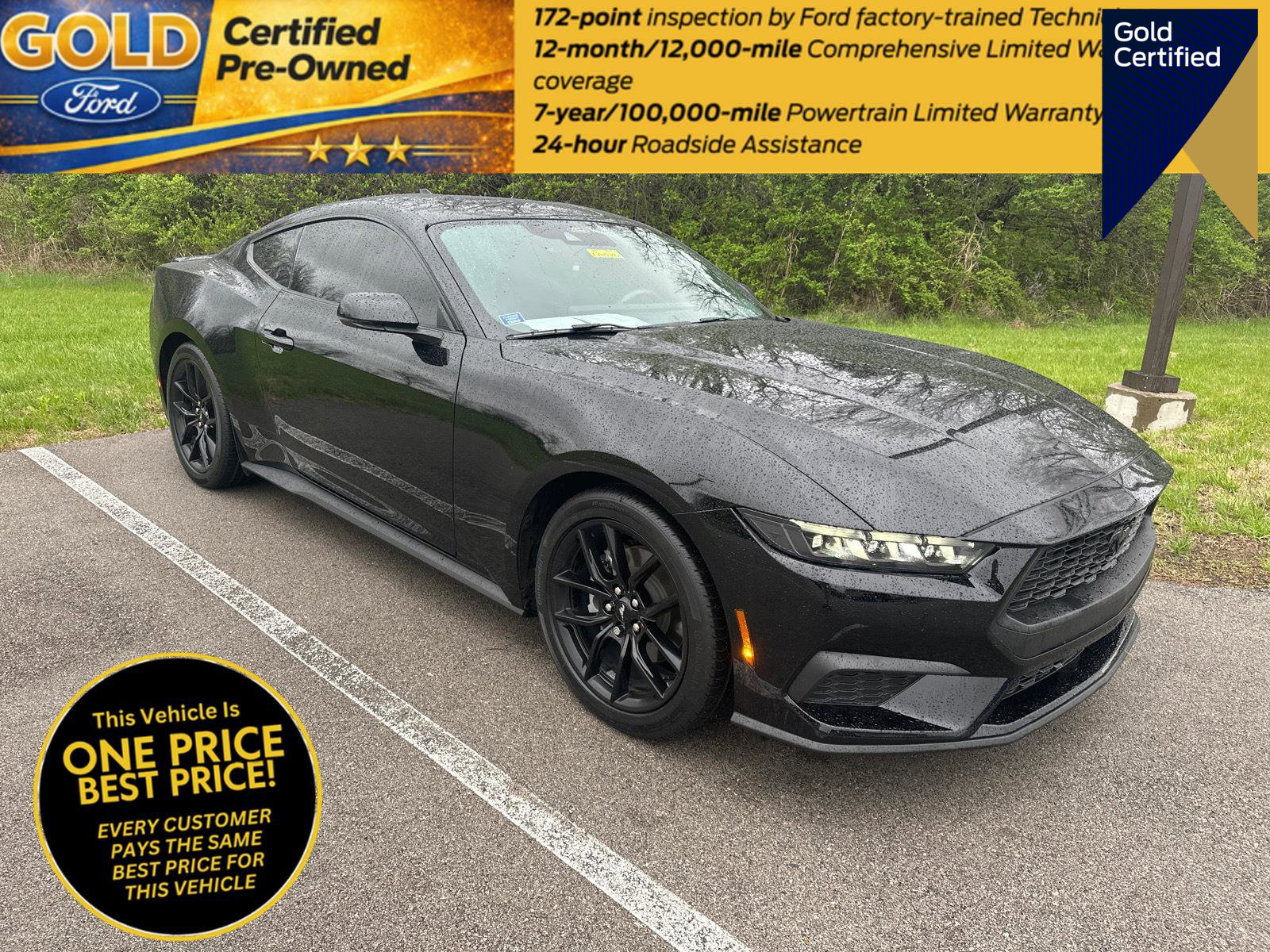 Certified 2024 Ford Mustang Premium image 1