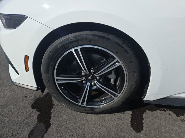 Certified 2025 Ford Mustang Premium image 14