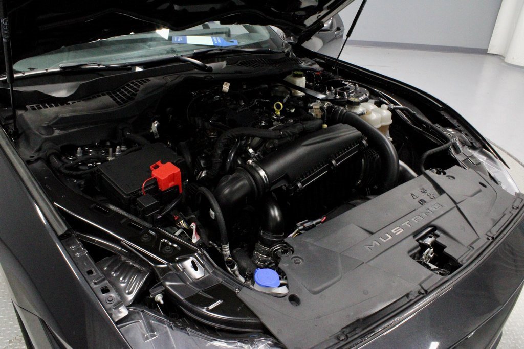 Certified 2024 Ford Mustang Premium image 17