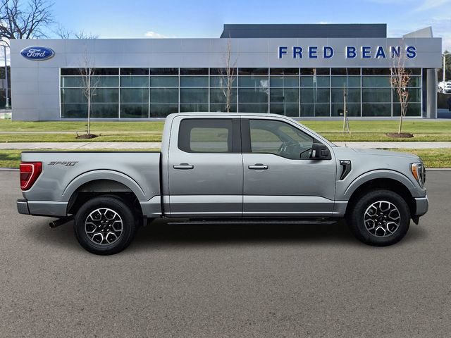 Certified 2023 Ford F150 XLT w/ Equipment Group 302A High image 5