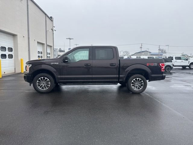 Certified 2019 Ford F150 XLT w/ Equipment Group 302A Luxury image 2