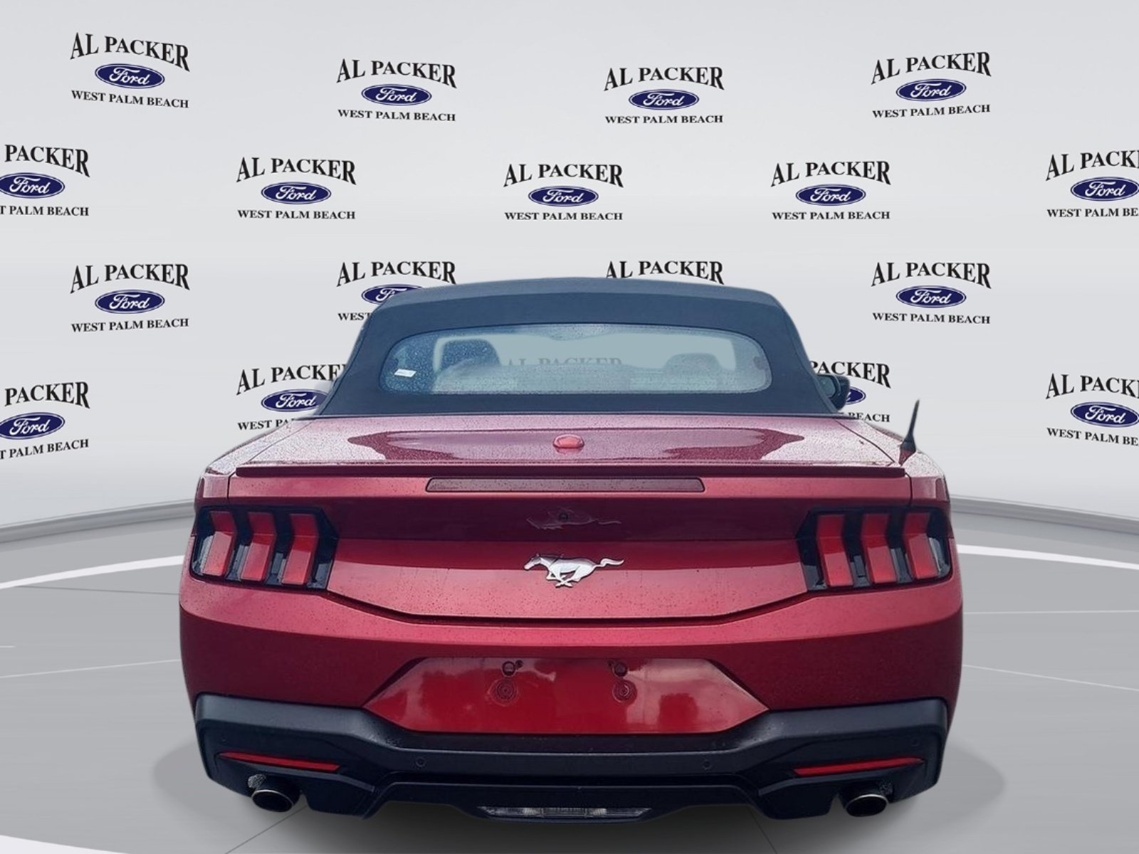 Certified 2024 Ford Mustang Premium RWD image 4