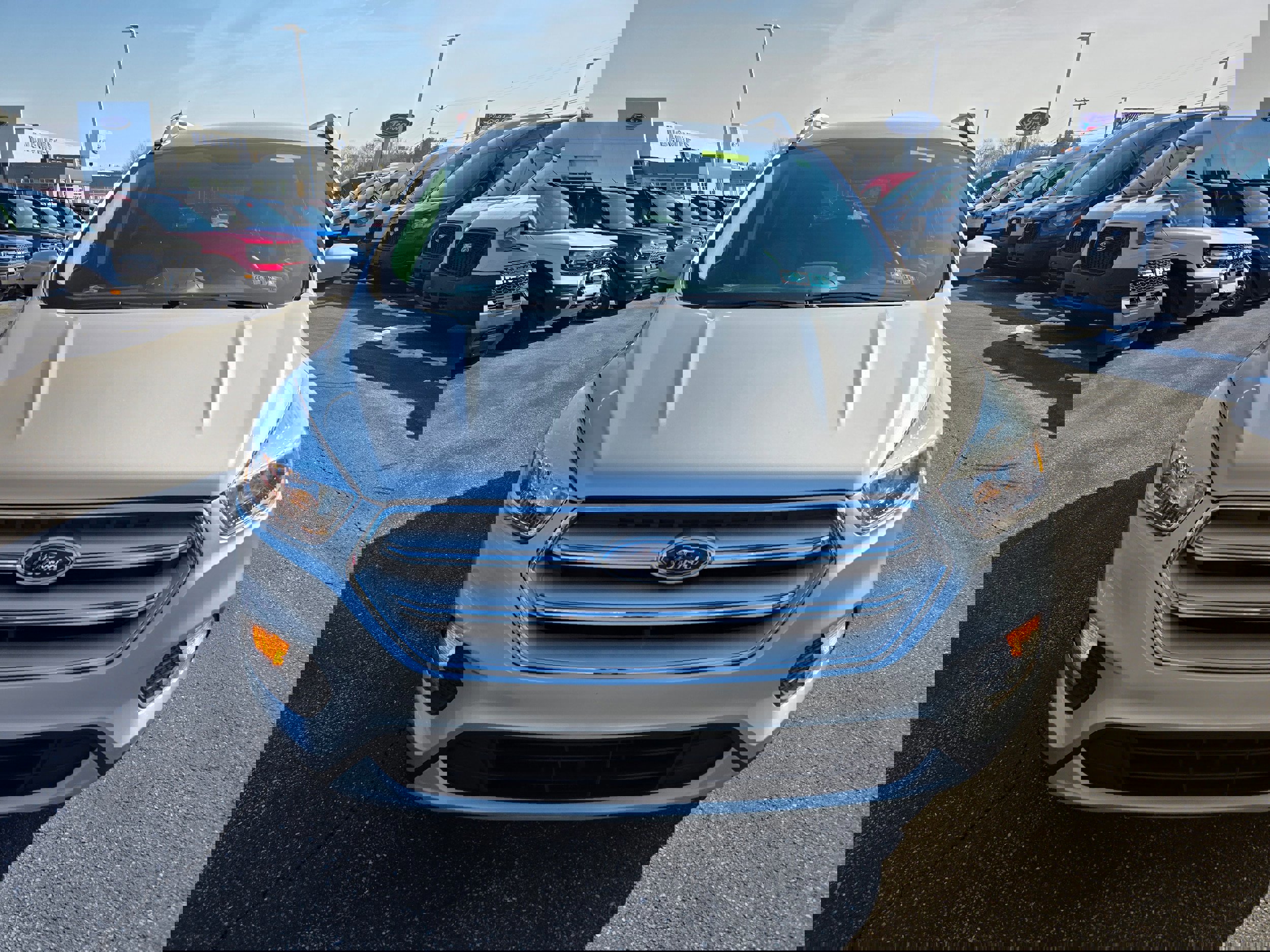 Certified 2019 Ford Escape SE image 8