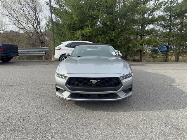 Certified 2024 Ford Mustang Premium image 8