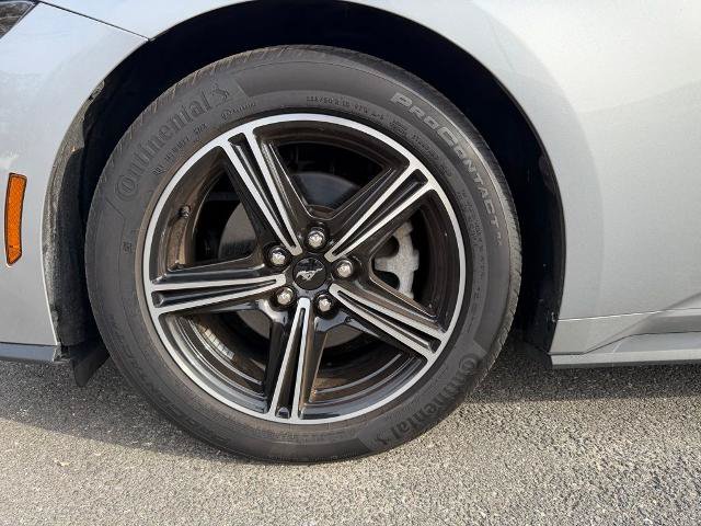 Certified 2024 Ford Mustang Premium RWD image 9