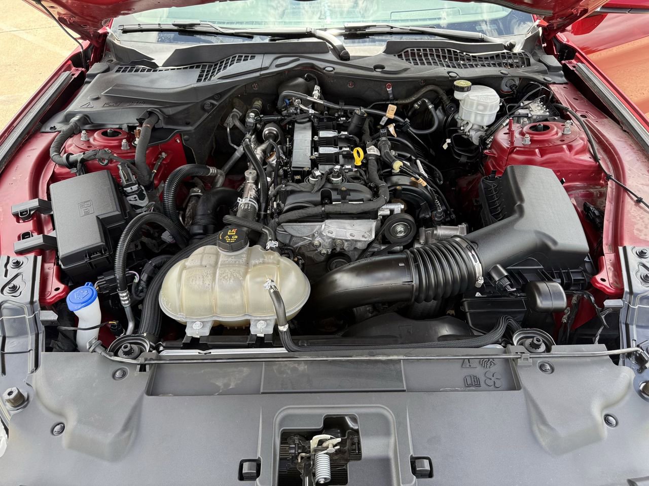 Certified 2022 Ford Mustang Coupe w/ Equipment Group 101A RWD image 28