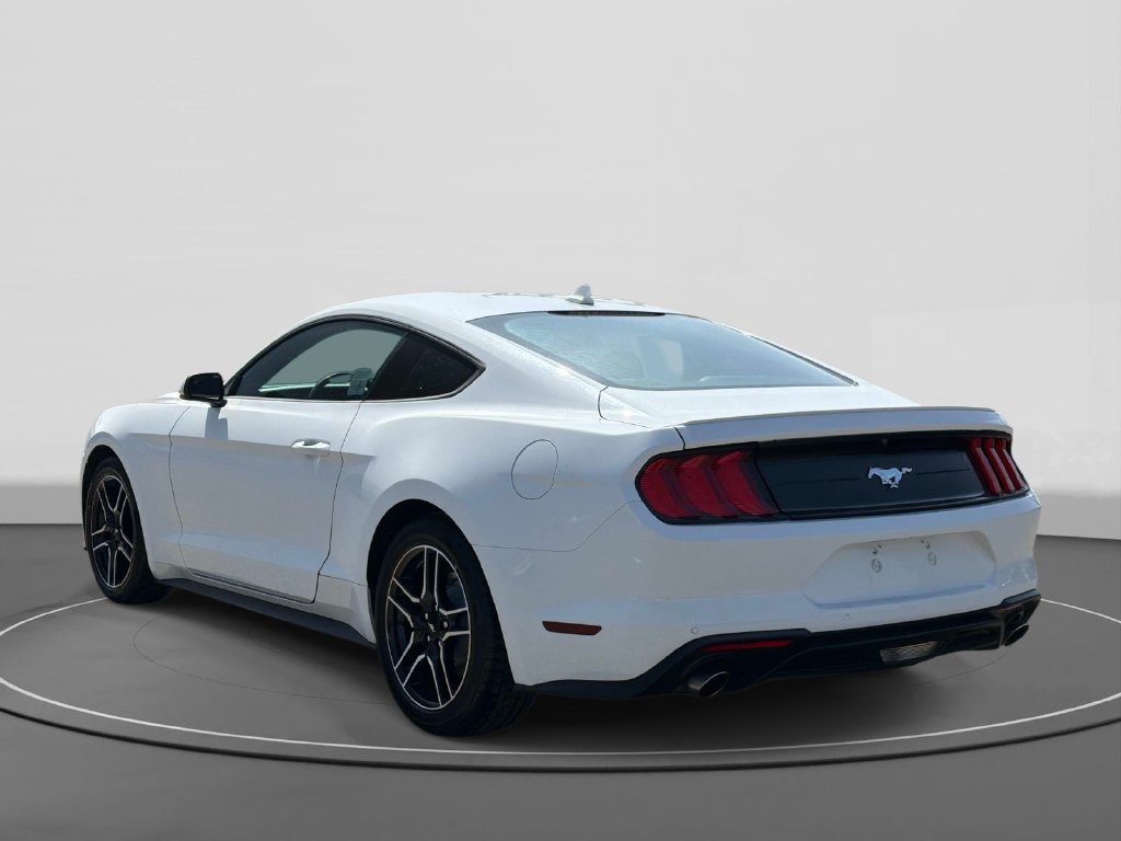 Certified 2023 Ford Mustang Premium RWD image 7