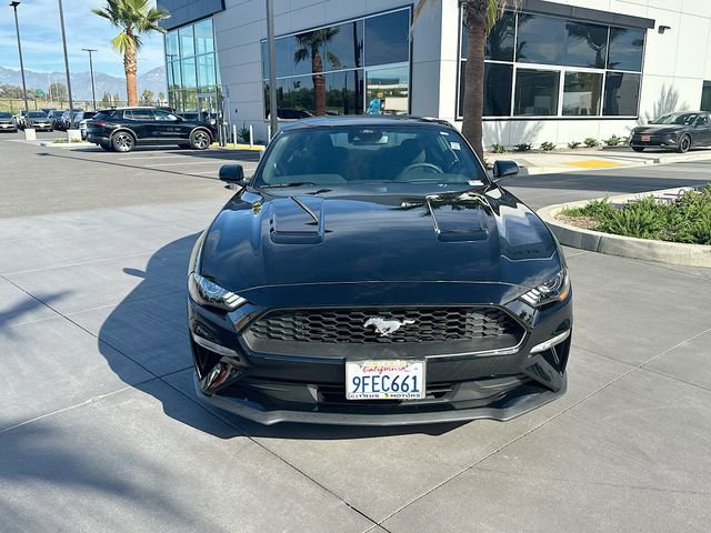 Certified 2022 Ford Mustang Coupe w/ Equipment Group 101A image 2