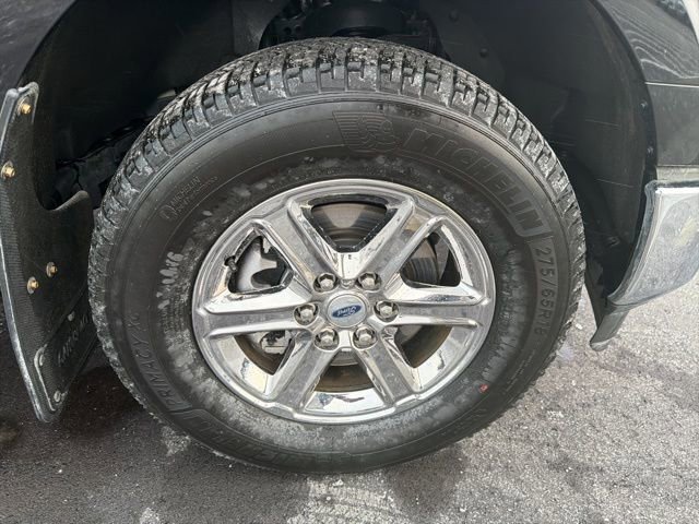 Certified 2025 Ford F150 XLT w/ Equipment Group 301A Standard image 7