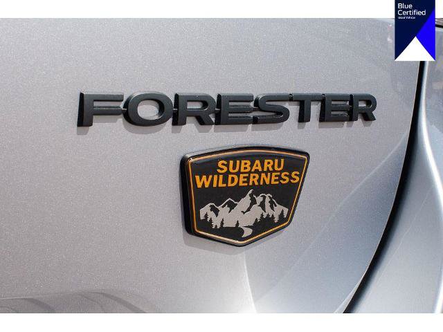 Used 2025 Subaru Forester Wilderness w/ Wilderness Package AWD/4WD image 12