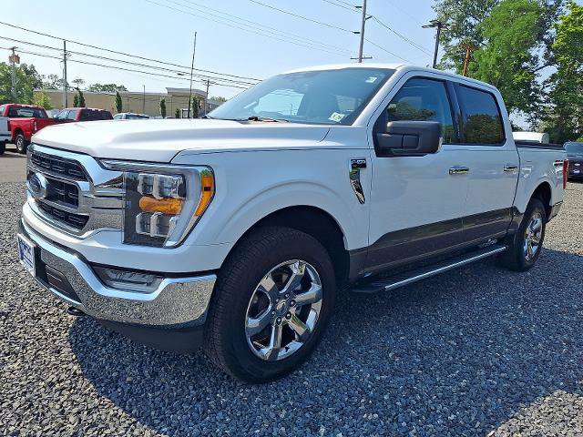 Certified 2023 Ford F150 XLT w/ Equipment Group 302A High AWD/4WD image 3