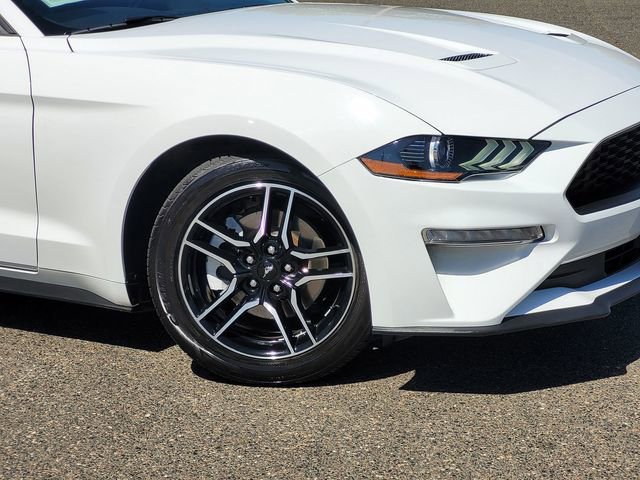 Certified 2023 Ford Mustang Premium RWD image 6