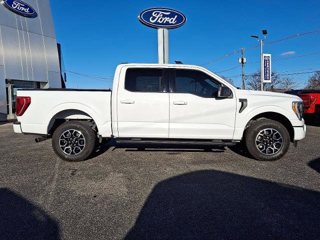 Certified 2023 Ford F150 XLT w/ Equipment Group 302A High image 5