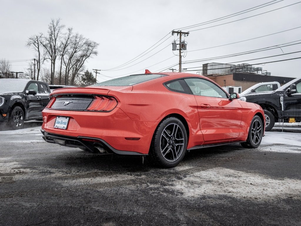 Certified 2021 Ford Mustang Premium image 5