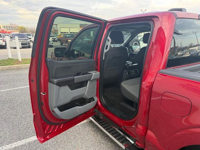 Certified 2025 Ford F150 XLT w/ Equipment Group 301A Standard image 12