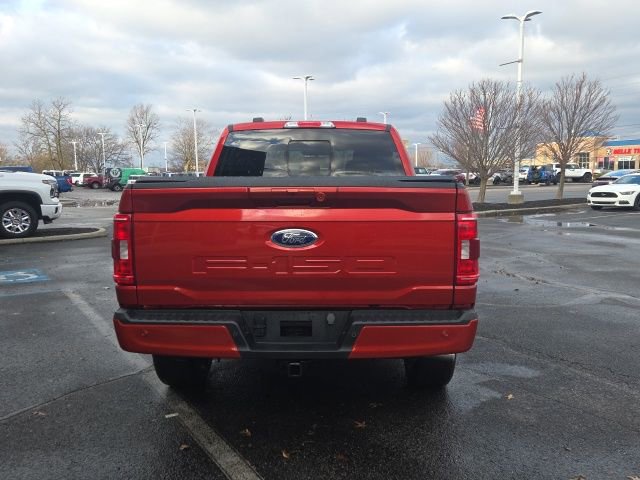 Certified 2023 Ford F150 XLT w/ Equipment Group 302A High image 7