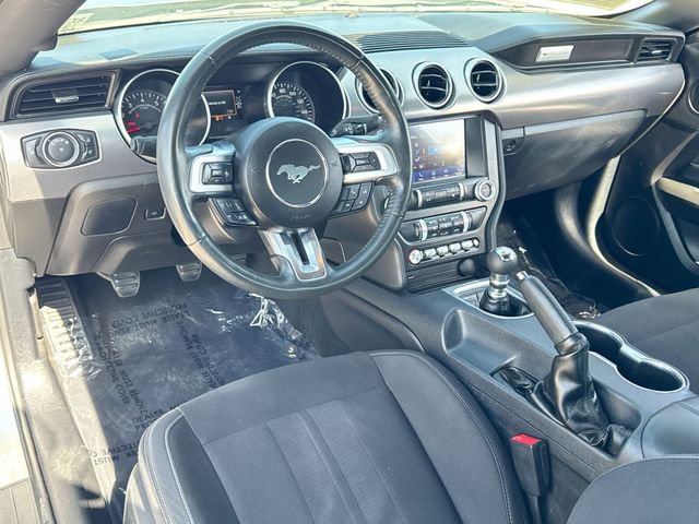 Certified 2021 Ford Mustang GT w/ Equipment Group 301A RWD image 14