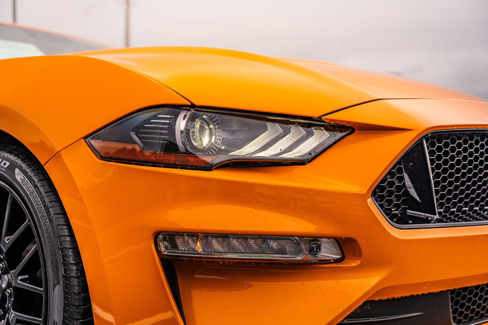 Certified 2018 Ford Mustang GT Premium w/ GT Performance Package RWD image 12