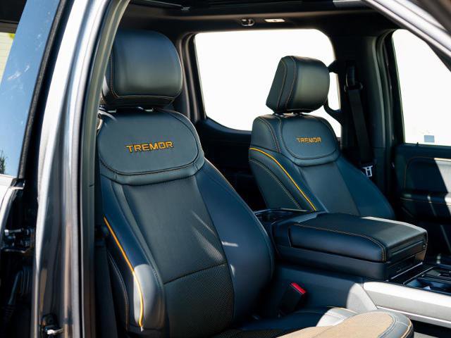 Certified 2025 Ford F150 Tremor w/ Equipment Group 402A High image 29