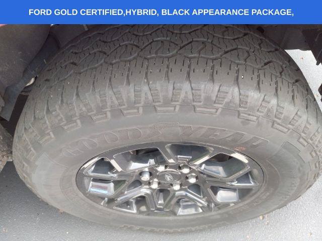 Certified 2024 Ford F150 XLT w/ Equipment Group 302A MID AWD/4WD image 16