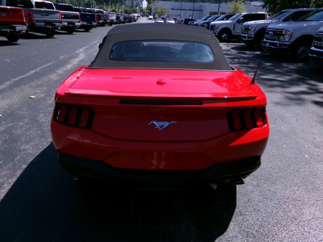 Certified 2024 Ford Mustang Premium RWD image 9