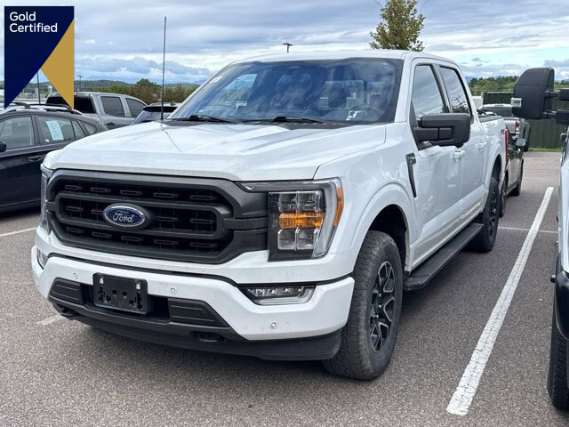 Certified 2022 Ford F150 XLT w/ Equipment Group 302A High