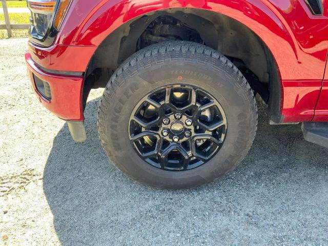 Certified 2025 Ford F150 XLT w/ Equipment Group 302A MID AWD/4WD image 8
