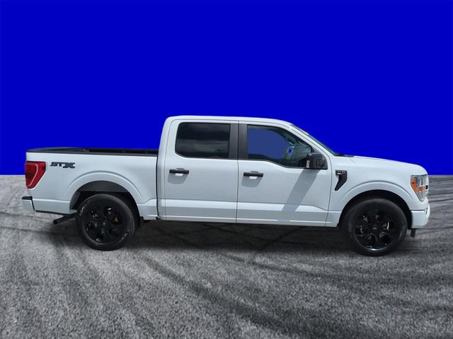 Certified 2022 Ford F150 XL w/ STX Black Appearance Package RWD image 3
