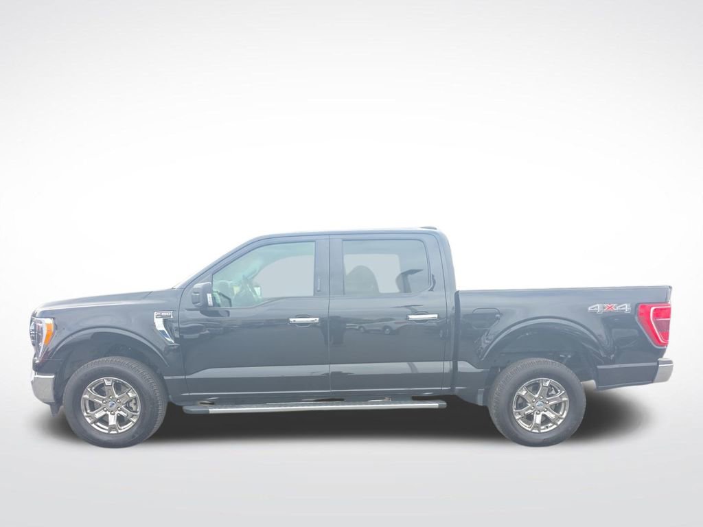 Certified 2023 Ford F150 XLT w/ Equipment Group 302A High image 5