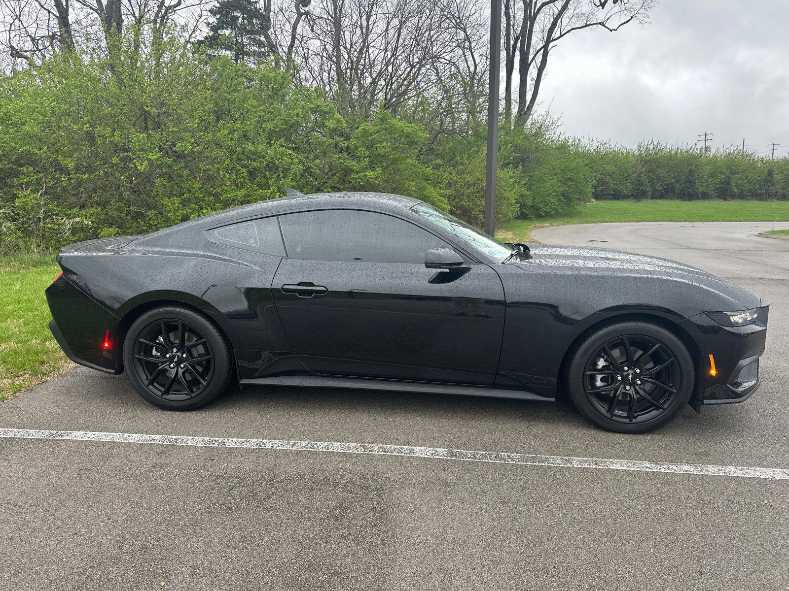 Certified 2024 Ford Mustang Premium RWD image 6