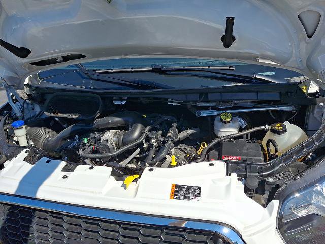 Certified 2025 Ford Transit 250 Low Roof w/ Exterior Upgrade Package RWD image 25
