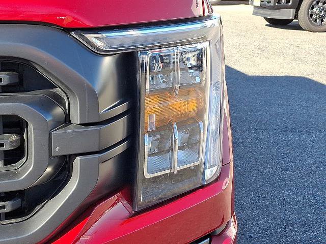 Certified 2022 Ford F150 XLT w/ Equipment Group 302A High image 9