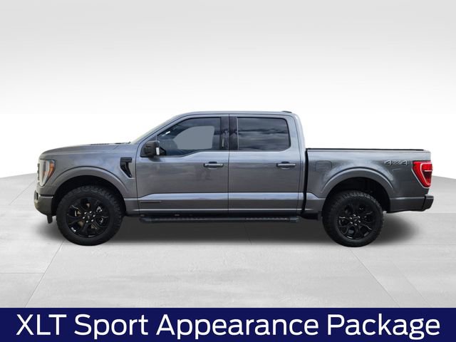 Certified 2023 Ford F150 XLT w/ Equipment Group 302A High AWD/4WD image 7