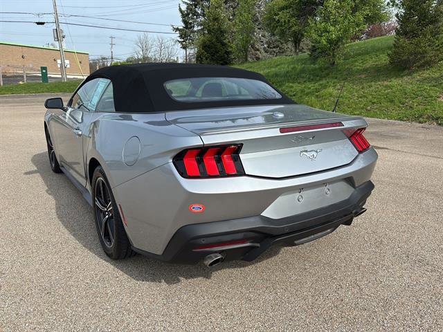 Certified 2024 Ford Mustang Premium image 3