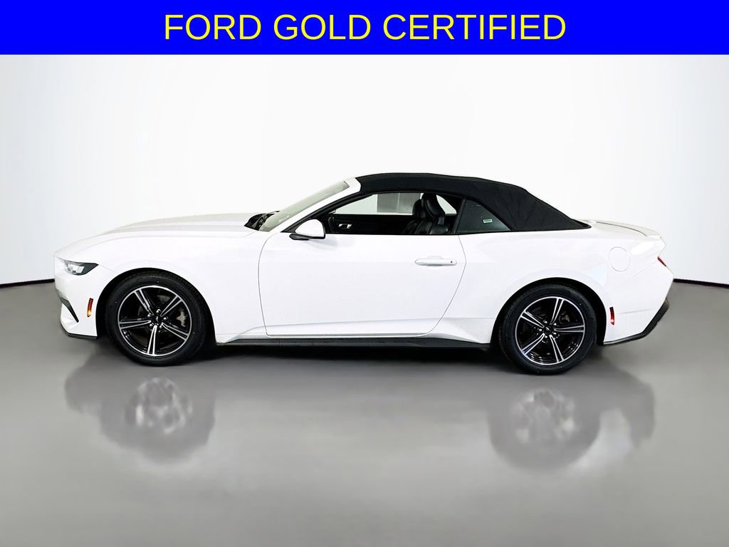 Certified 2024 Ford Mustang Premium image 8