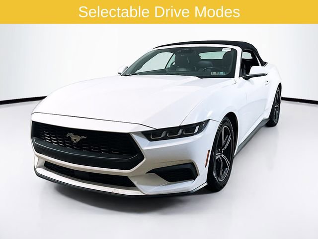 Certified 2024 Ford Mustang Premium RWD image 3