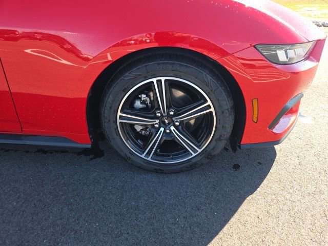 Certified 2024 Ford Mustang Premium image 7