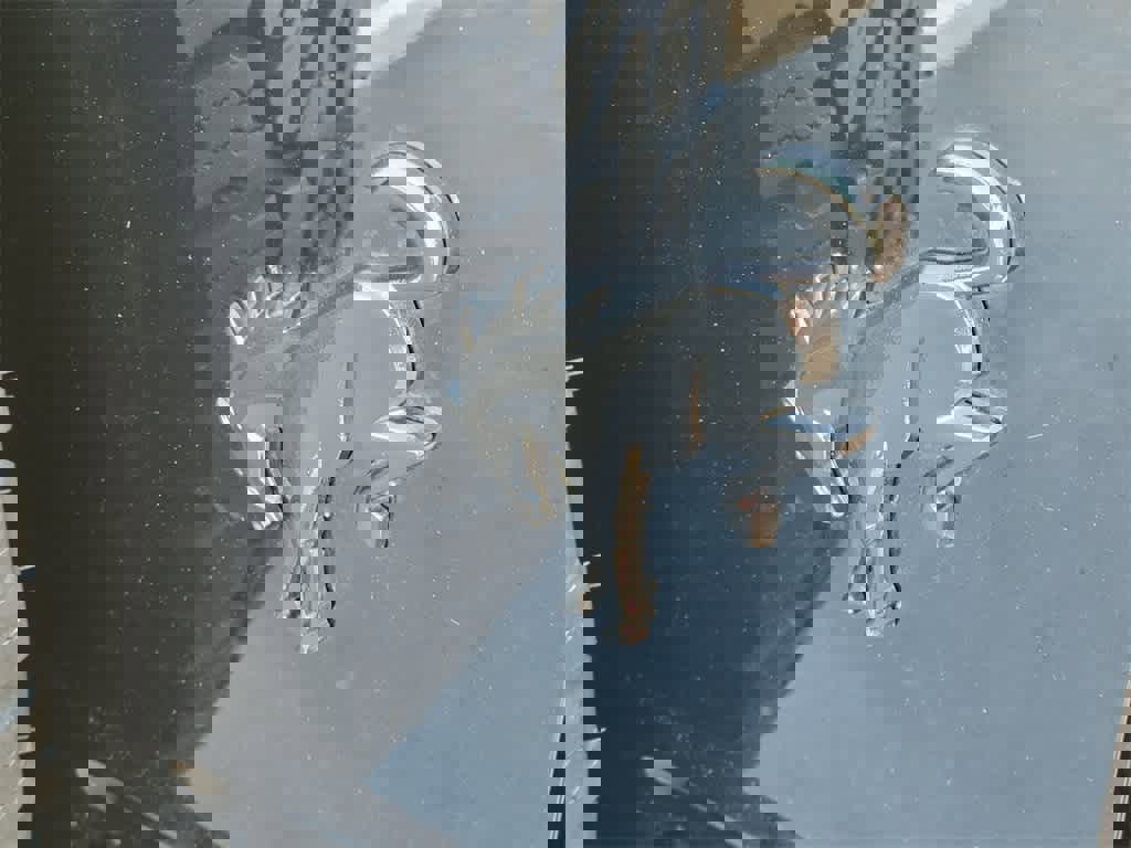 Certified 2023 Ford Bronco Black Diamond w/ Sasquatch Package image 6