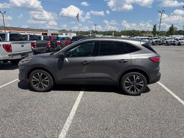 Certified 2022 Ford Escape SEL w/ SEL Stealth AWD Package image 5