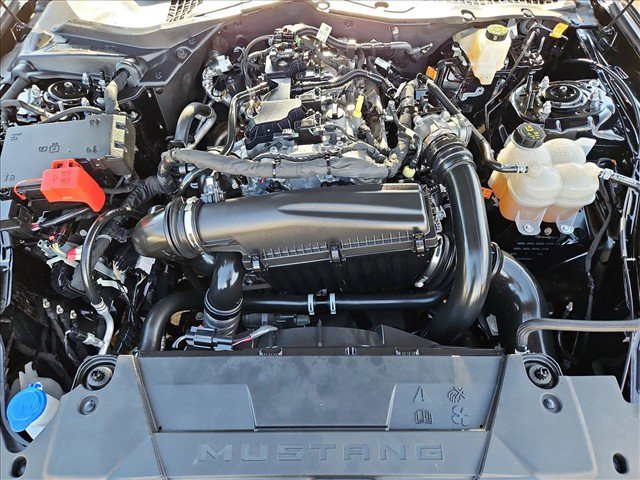 Certified 2025 Ford Mustang Premium w/ Mustang Nite Pony Package RWD image 21
