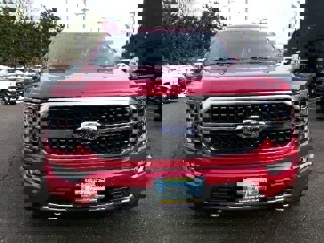 Certified 2022 Ford F150 Platinum w/ Equipment Group 701A High image 6