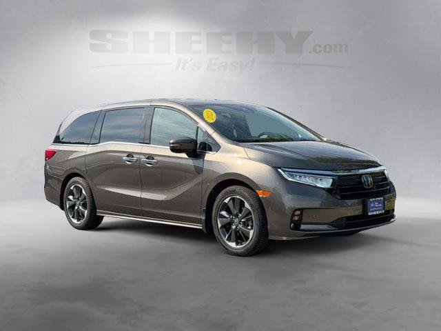 Used 2023 Honda Odyssey Elite image 2