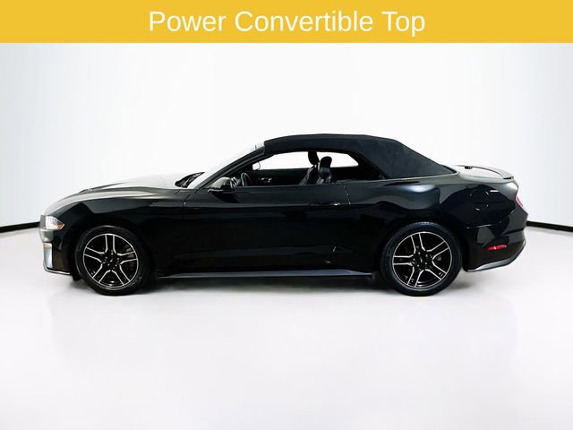 Certified 2023 Ford Mustang Premium RWD image 4