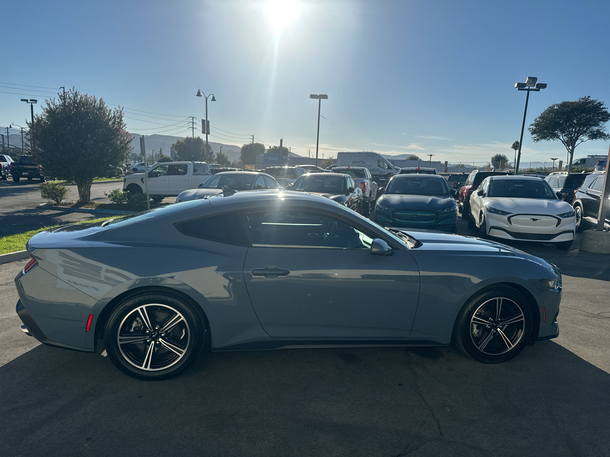 Certified 2024 Ford Mustang Coupe RWD image 4