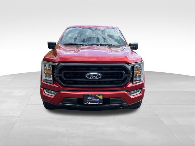 Certified 2023 Ford F150 XLT w/ Equipment Group 302A High AWD/4WD image 3